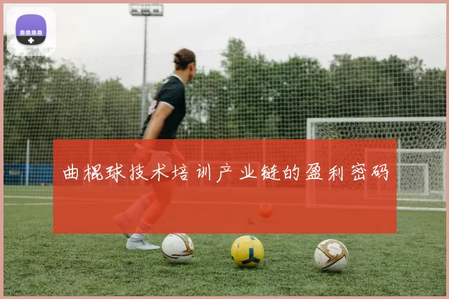 曲棍球技术培训产业链的盈利密码