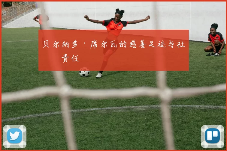 贝尔纳多·席尔瓦的慈善足迹与社会责任