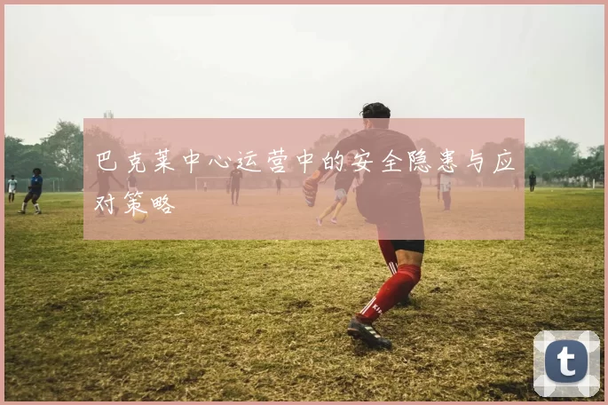 巴克莱中心运营中的安全隐患与应对策略