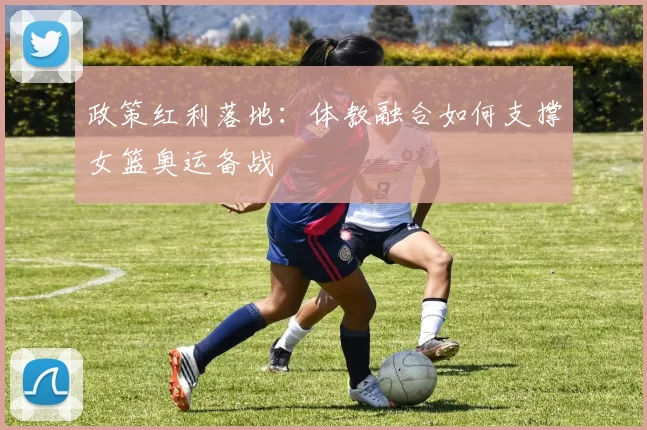 政策红利落地：体教融合如何支撑女篮奥运备战
