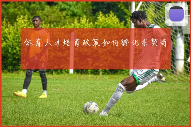 体育人才培育政策如何孵化东契奇